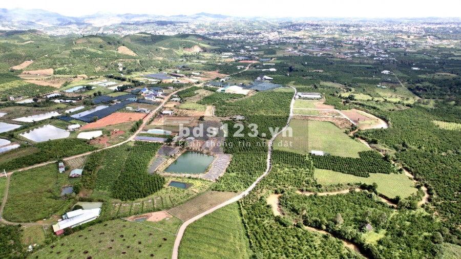 Bán đất vườn ngay xã Lộc Châu thành phô Bảo Lộc - Đất đẹp giá rẻ, phù hợp đầu tư