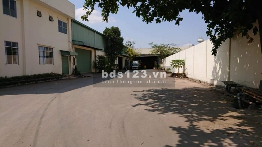 Cho thuê kho xưởng diện tích 4700m2 đầy đủ pháp lý giá rẻ tại Thuận An, Bình Dương
