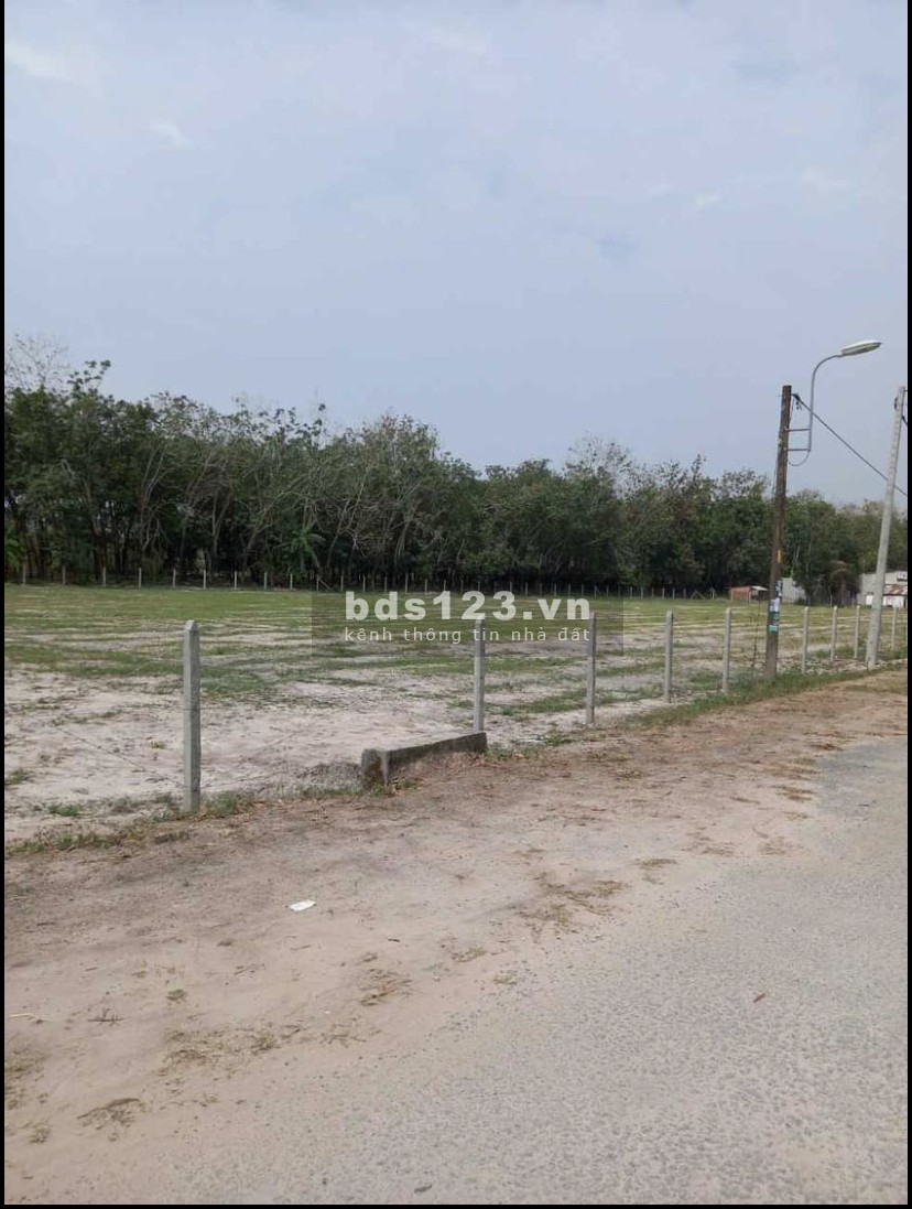Cần bán đất đường nhựa 1/ Bà Thiên vô 500m khu dân cư 74m ngang dài 50 gần 4000m2