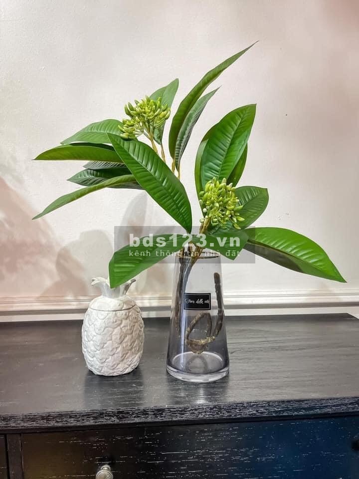Bán nhà ngõ phố Bình Lộc, ph Tân Bình, TP HD, 3 tầng, 3 ngủ, 50m2, ngõ to rộng, nhà cực đẹp, giá tốt