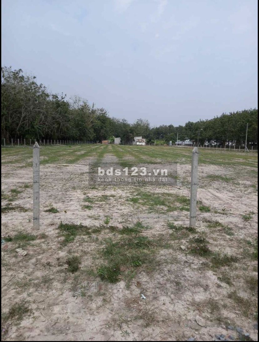 Cần bán đất đường nhựa 1/ Bà Thiên vô 500m khu dân cư 74m ngang dài 50 gần 4000m2
