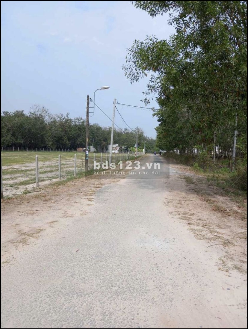 Cần bán đất đường nhựa 1/ Bà Thiên vô 500m khu dân cư 74m ngang dài 50 gần 4000m2
