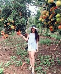 Bán đất vườn tránh dịch gần khu công nghiệp Xuân Quế Sông Nhạn giá tốt đầu tư