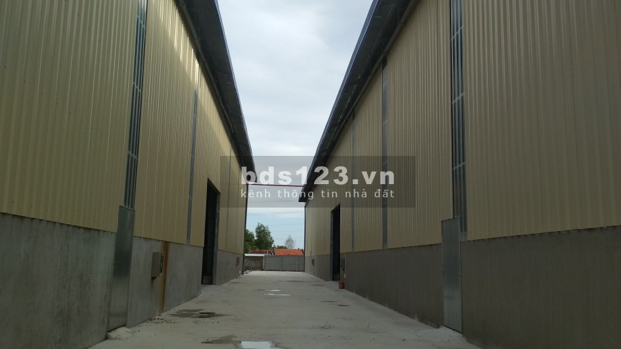 Cho thuê xưởng mới 100% diện tích 6000m2 trong khuôn viên 13.500m2 Nguyễn Hữu Trí Long An