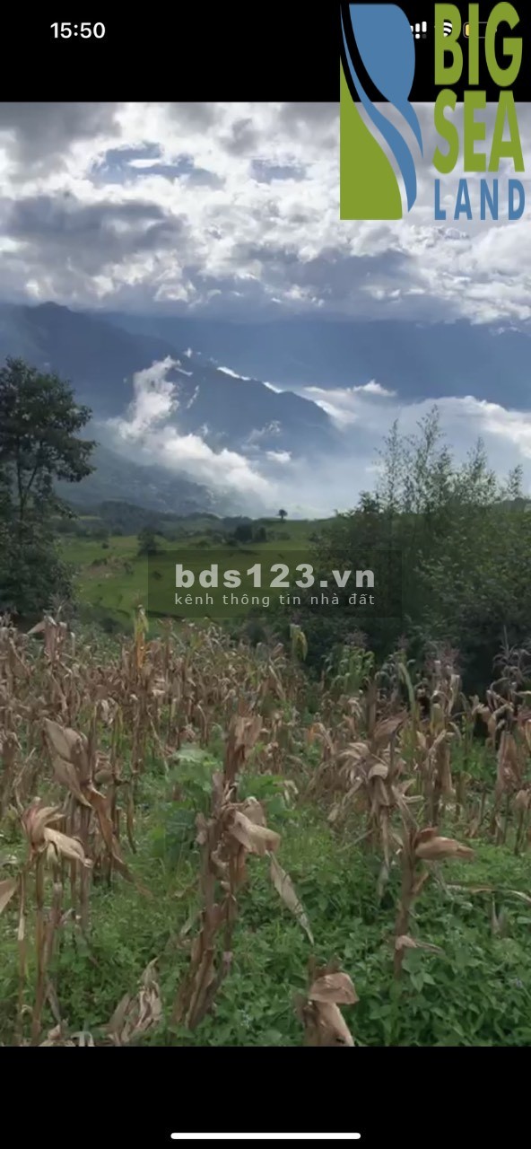 Cần bán mảnh đất Phan Cán Sử- Y Tý(Sapa2) 2000m2 mặt tiền…