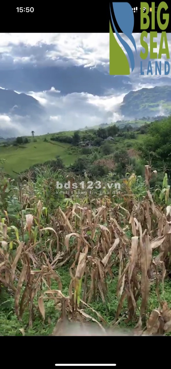 Cần bán mảnh đất Phan Cán Sử- Y Tý(Sapa2) 2000m2 mặt tiền…