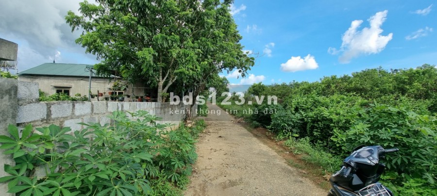 Cần bán khuôn vườn bưởi và nhà cấp 4 với giá chỉ vài trăm triệu tại Cao Phong giá thoả thuận
