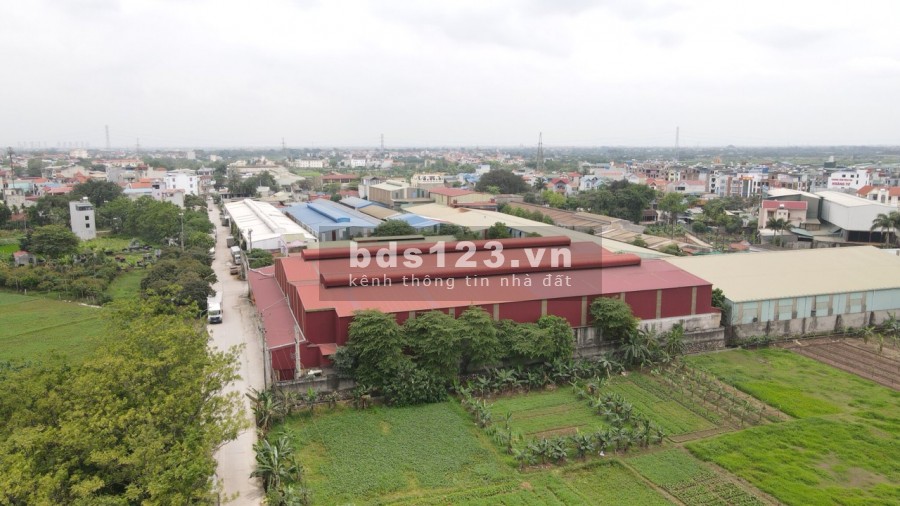 Cho thuê nhà xưởng 7000m2 mặt tiền đẹp ở Hà Đông, Hà Nội.
