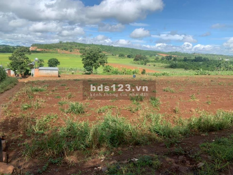 Bán lô đất nhỏ diện tích sử dụng 570m2 ngay Nam Ban, Lâm Hà giá 525 triệu, thế đất rất cao