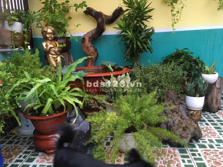 Bán nhà nguyên căn Thống Nhất diện tích 48m2, 3 tầng giá chỉ 4.55 Tỷ P.10 Gò Vấp Còn TL