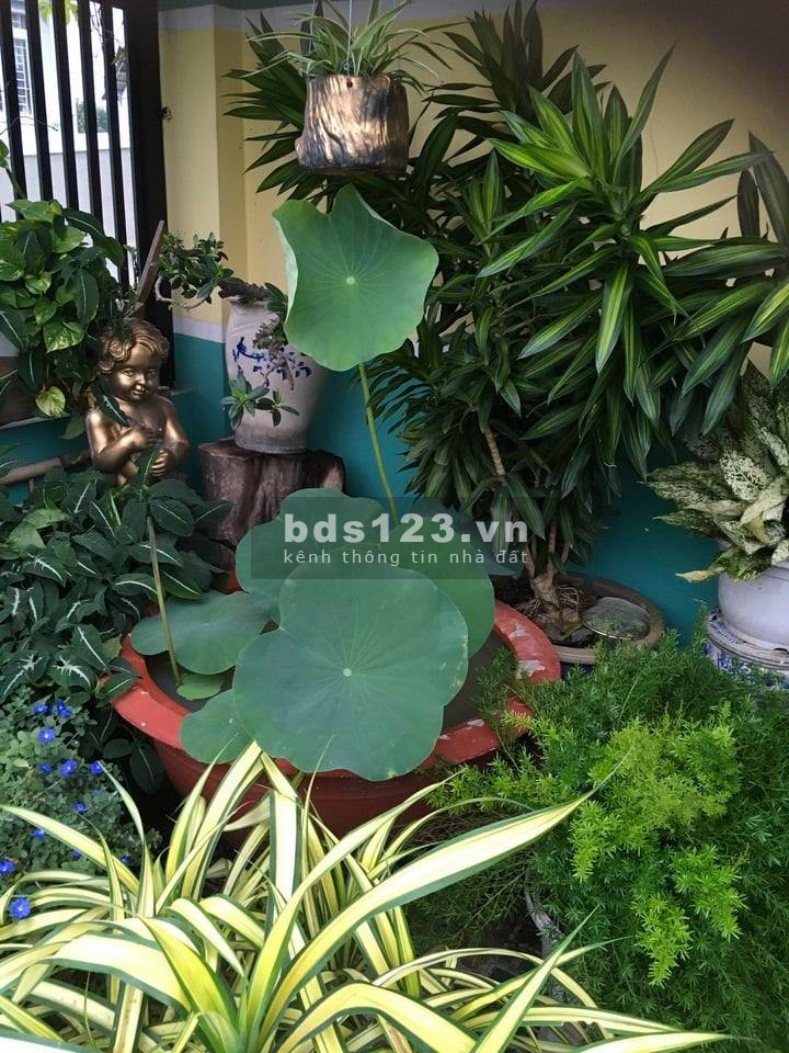 Bán nhà nguyên căn Thống Nhất diện tích 48m2, 3 tầng giá chỉ 4.55 Tỷ P.10 Gò Vấp Còn TL