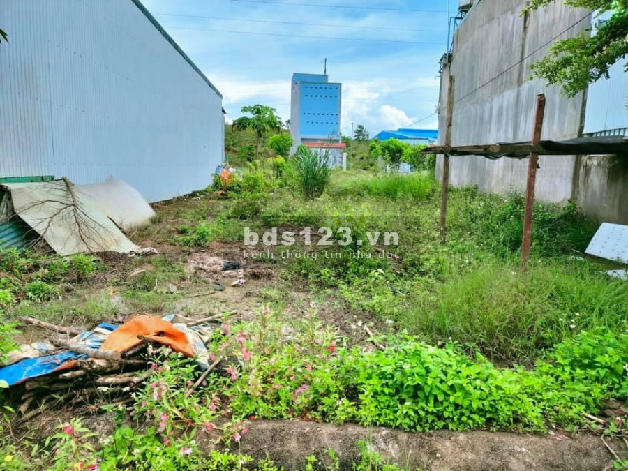 Đất đầu tư và nghỉ dưỡng Trung tâm thành phố diện tích sử dụng 100m2 giá bán 1 tỷ 4