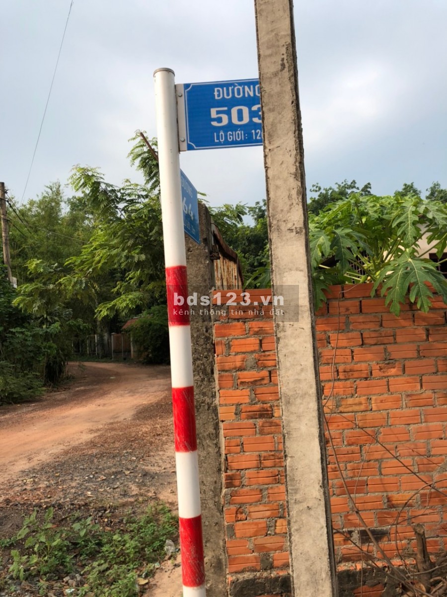 Cần bán đất 1/ đường Nhuận Đức vào 200m gần ngã Tư Nguyễn Văn Khạ 1500m 300thổ cư cần bán