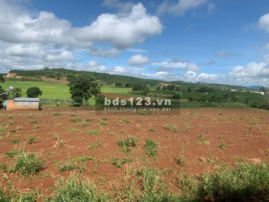 Bán lô đất nhỏ diện tích sử dụng 570m2 ngay Nam Ban, Lâm Hà giá 525 triệu, thế đất rất cao