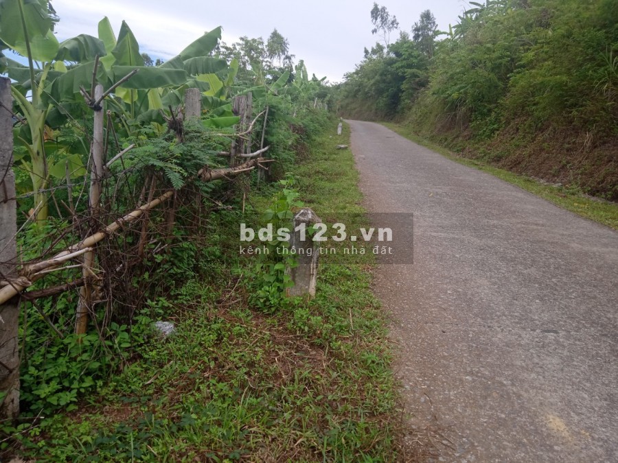 Em gửi quý anh chị nhà đầu tư lô đất rộng 2100m2 view ruộng bậc thang tại Cao Phong Hòa Bình.