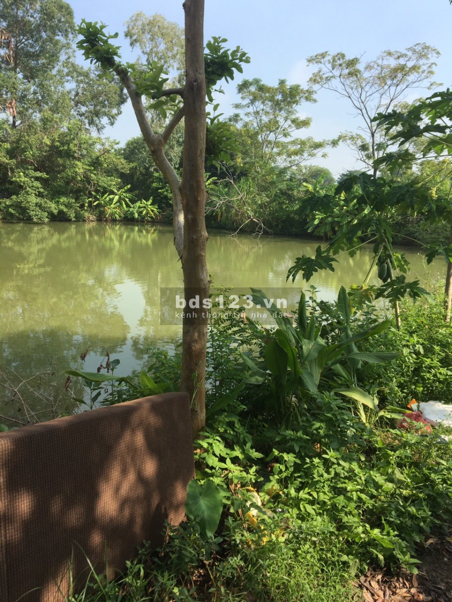 Đất thổ cư rẻ nhất Gia Bình chỉ hơn 600tr có ngay lô 200m 0977236326