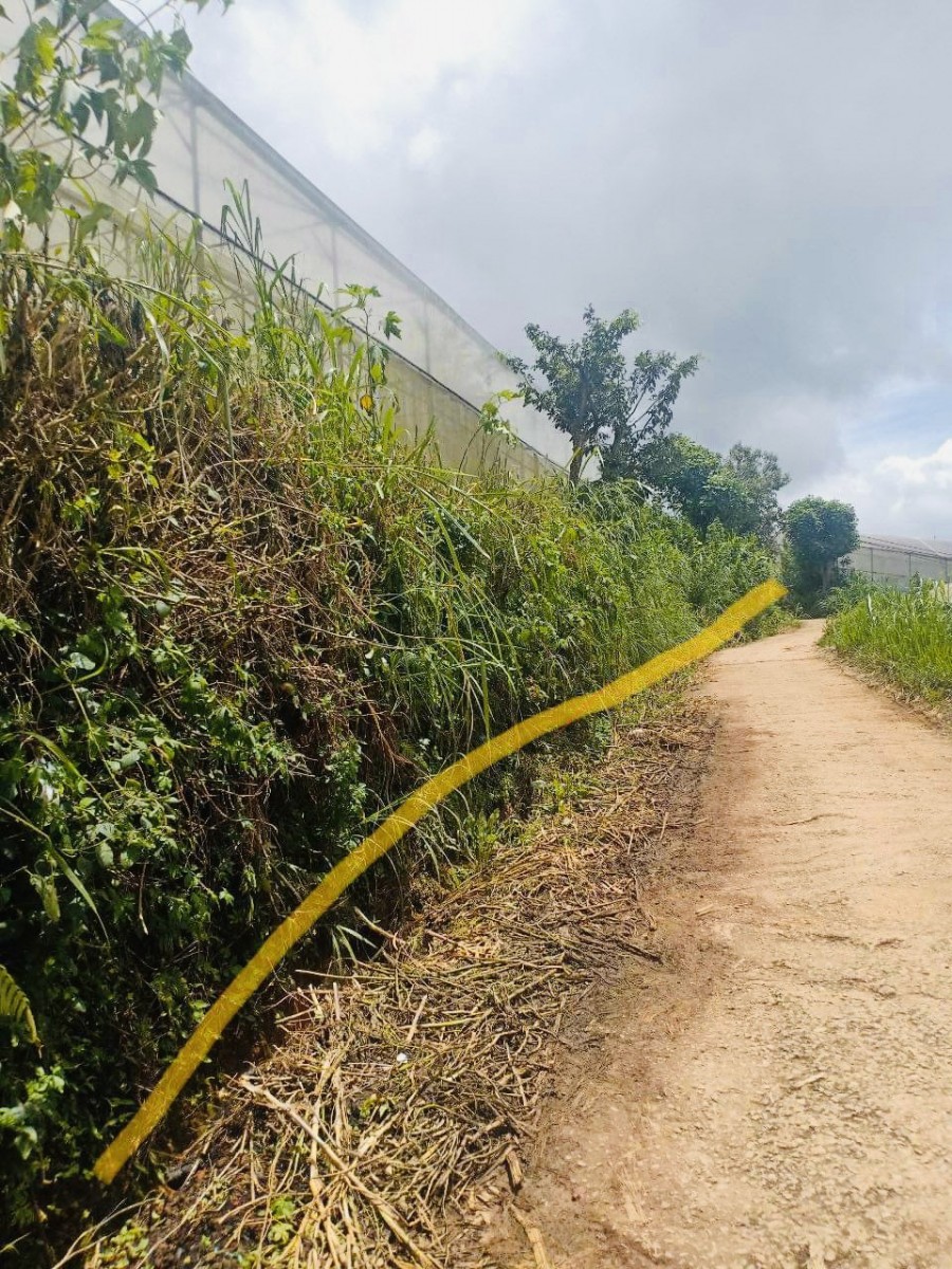 Cần bán diện tích 4.300m2 đất vườn, xe hơi tận nơi phường 7 Đà Lạt giá bán 7.5 triệu/m2