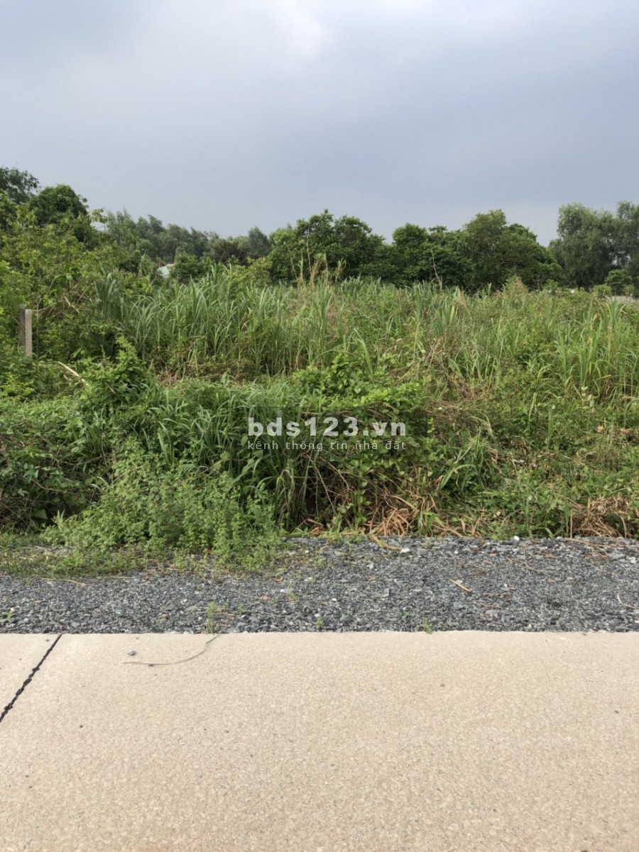 Cần bán đất 1/ đường Nhuận Đức vào 200m gần ngã Tư Nguyễn Văn Khạ 1500m 300thổ cư cần bán