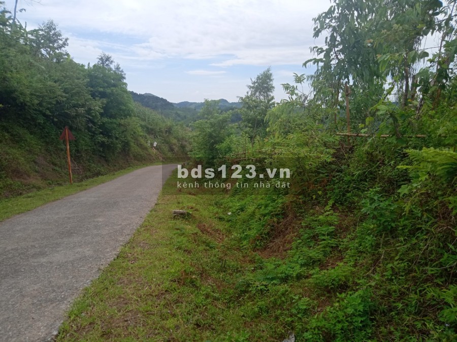 Em gửi quý anh chị nhà đầu tư lô đất rộng 2100m2 view ruộng bậc thang tại Cao Phong Hòa Bình.