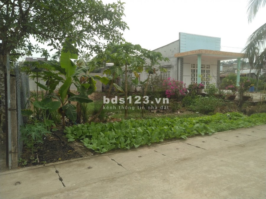 Đất Nhơn Trạch diện tích sử dụng 261m2 gần đường Lý Thái Tổ, xã Phú Thạnh