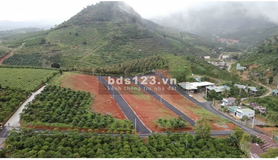 Bán gấp lô đất Quốc Lộ 20 Ogimi Đại Lào, thành phố Bảo Lộc đã có sổ tiện ích đầy đủ