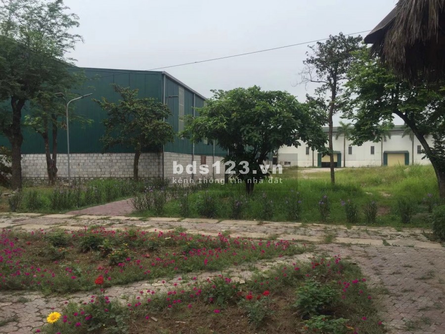 Cho thuê nhà xưởng diện tích sử dụng 2700m2 Kinh Môn Hải Dương, giá tốt, lh 0966398919