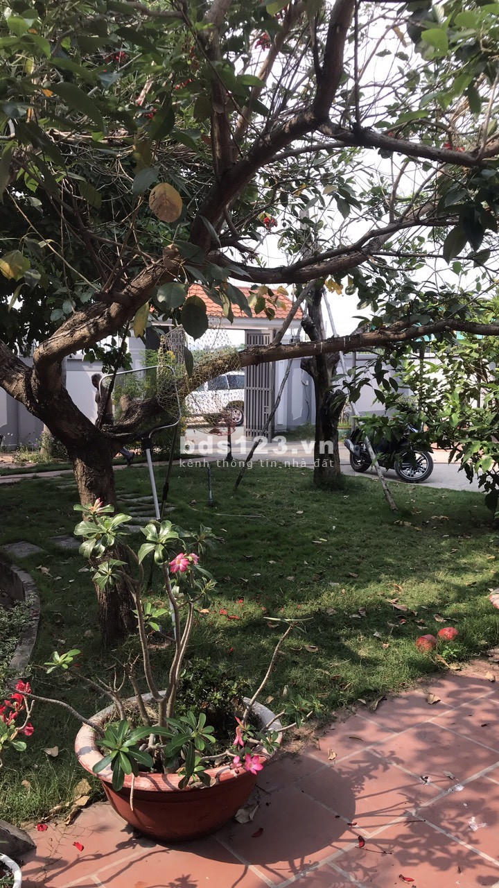 Cho thuê biệt thự Quận Thủ Đức biệt thự sân vườn đường số 7, phường Hiệp Bình Phước