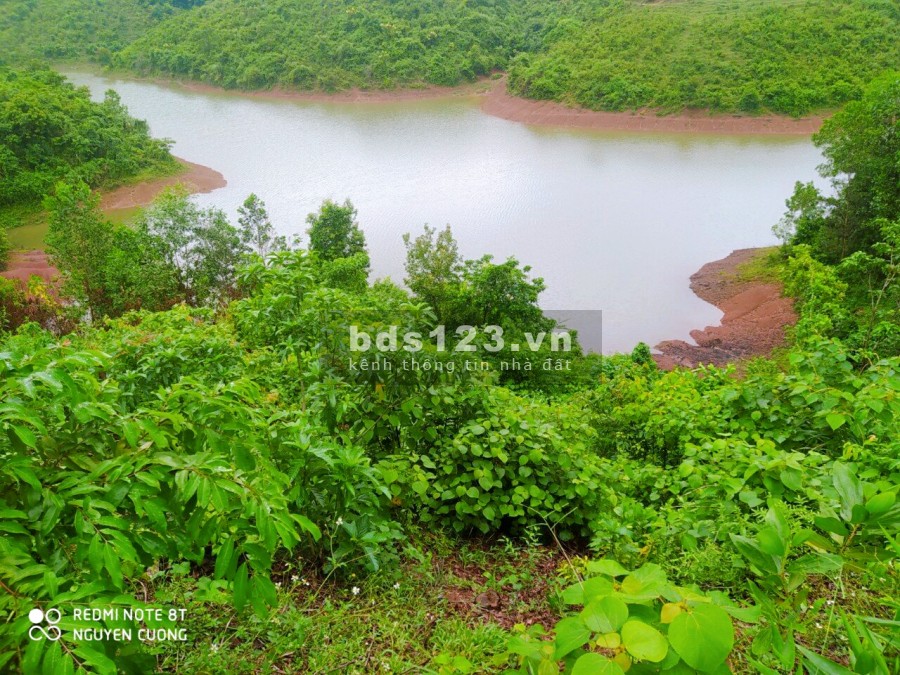 Cần chuyển nhượng lại lô đất rẻ chưa đến 100tr với diện tích 1198m2 tại Cao Phong