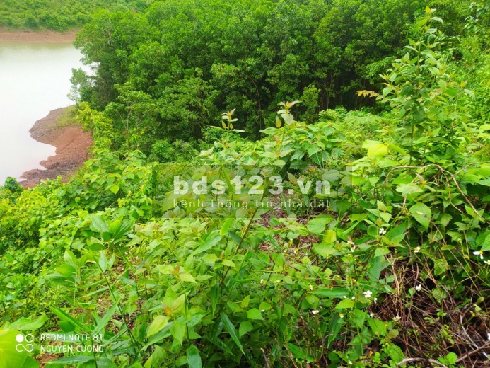 Cần chuyển nhượng lại lô đất rẻ chưa đến 100tr với diện tích 1198m2 tại Cao Phong