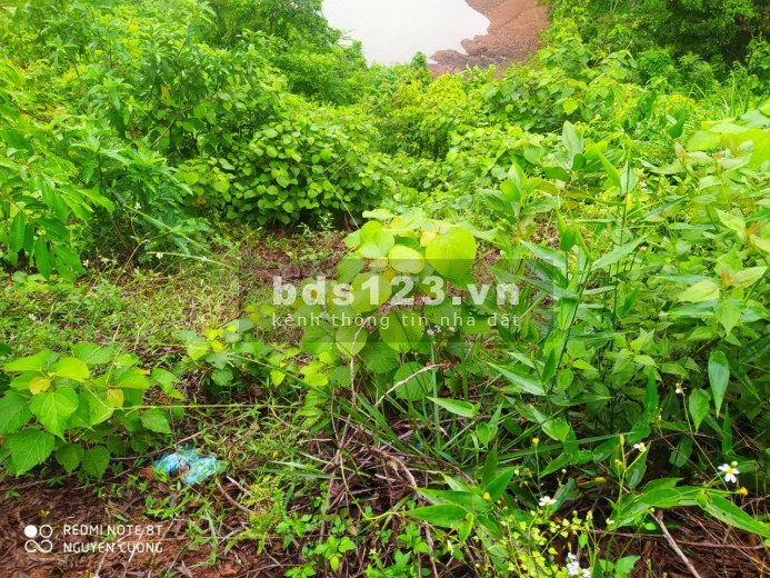 Cần chuyển nhượng lại lô đất rẻ chưa đến 100tr với diện tích 1198m2 tại Cao Phong