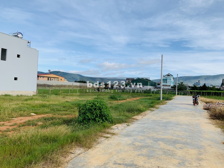 Đất trung tâm vùng ven Đà Lạt giá rẻ mùa dịch 700 triệu, hỗ trợ vay ngân hàng, pháp lí đủ
