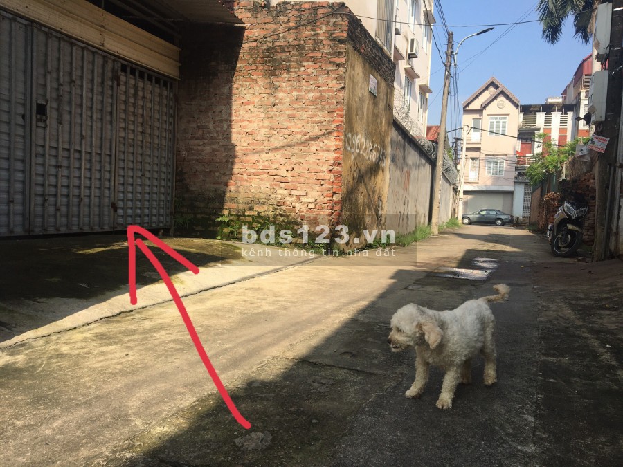 Bán nhanh lô đất 77,2m ô tô 7 chỗ đường thông Vĩnh Ngọc huyện Đông Anh giá 47 triệu/m2