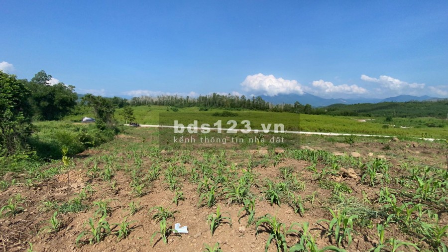 Bán đất gần QL27C xã Diên Thọ rộng 10.000m2 đường bê tông giá rẻ LH 0788.558.552