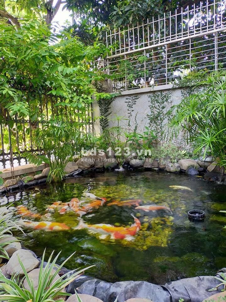 Lô góc mặt tiền rộng mênh mông vị trí đẹp kinh doanh nhà hàng cafe khu an sinh đỉnh