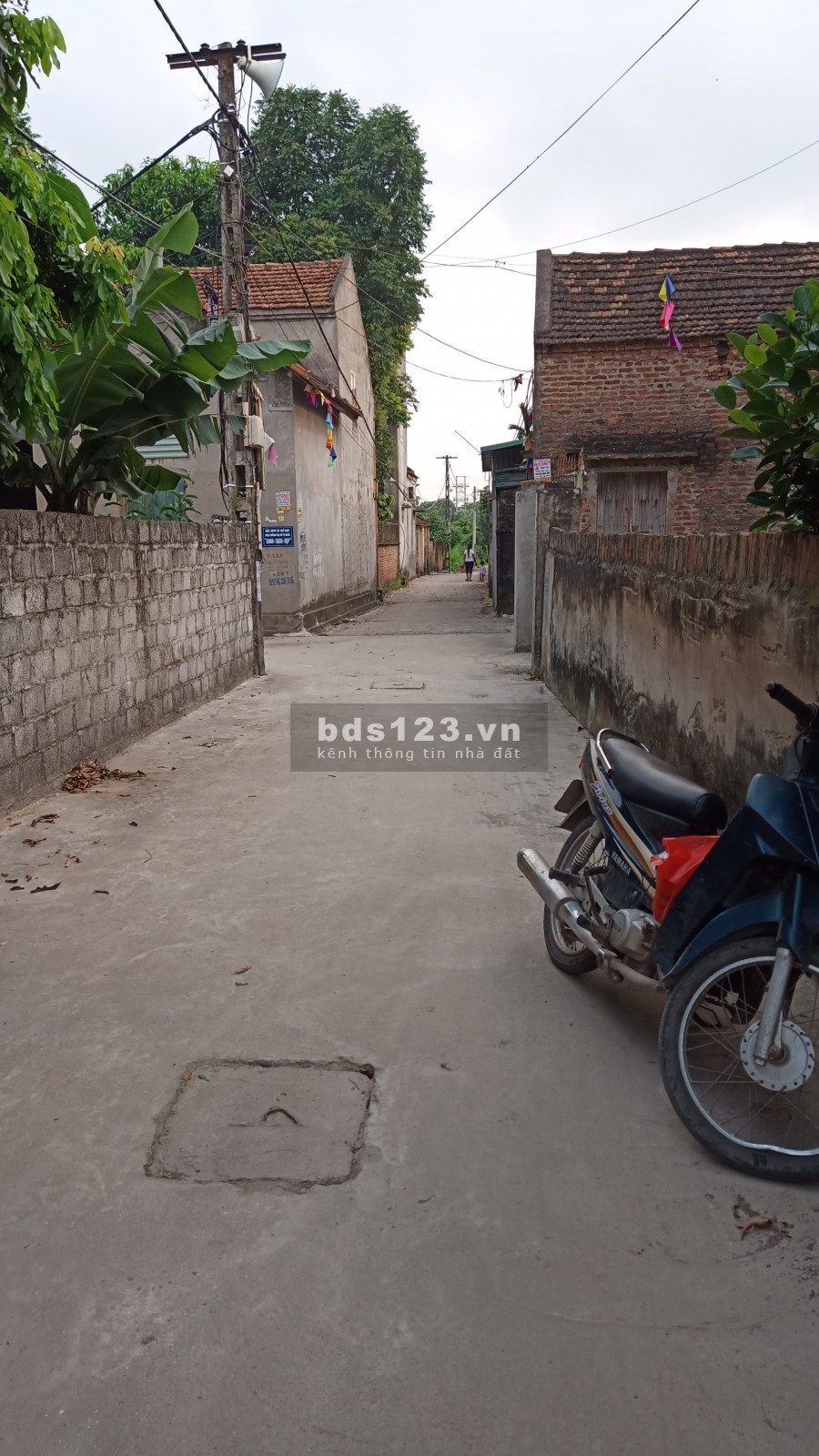 Cần bán đất đẹp tại Cát Lư – Chỉ đạo, Đường trước nhà thông, ô tô vào thoải mái: lh 0835459289
