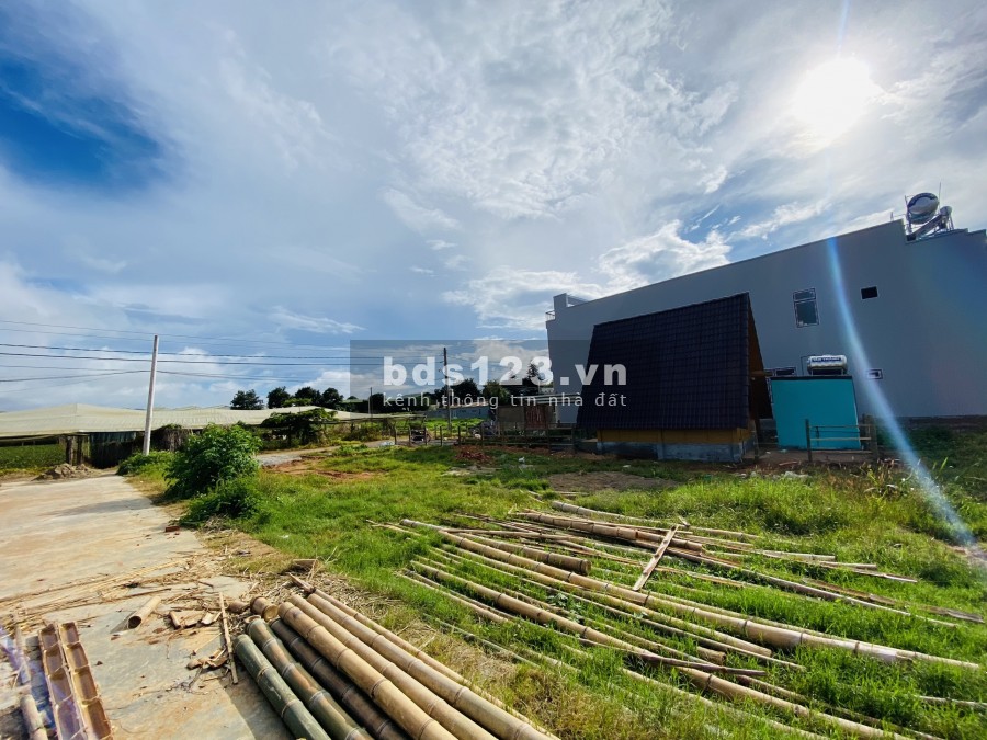 Đất trung tâm vùng ven Đà Lạt giá rẻ mùa dịch 700 triệu, hỗ trợ vay ngân hàng, pháp lí đủ