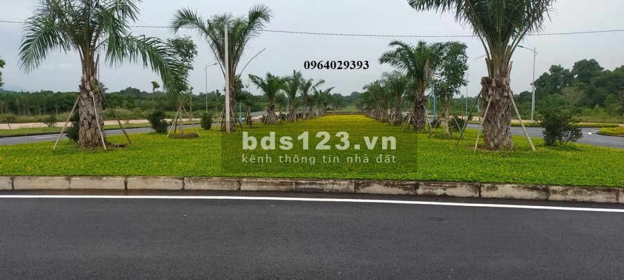 Cần tiền xây nhà mình bán nhanh lô đất diện tích 75m2 tái định cư Đại Học Quốc Gia Hà Nội