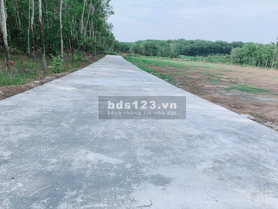 Cần bán 1000 mét vuông đất mặt tiền đường bê tông gần chợ Minh hưng chân thành Bình Phước. Giá 100 tr