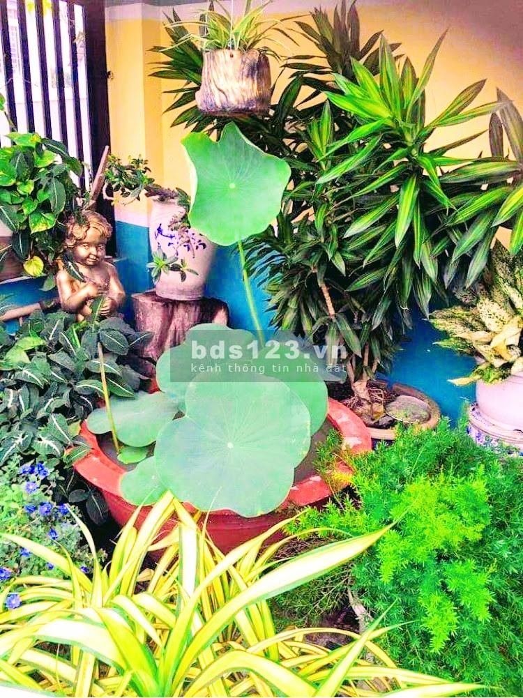 Nhà nguyên căn giá rẻ Quận Gò Vấp, có sân vườn, giảm 300 triệu sổ chính chủ, công chứng ngay