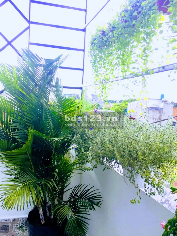 Nhà nguyên căn giá rẻ Quận Gò Vấp, có sân vườn, giảm 300 triệu sổ chính chủ, công chứng ngay
