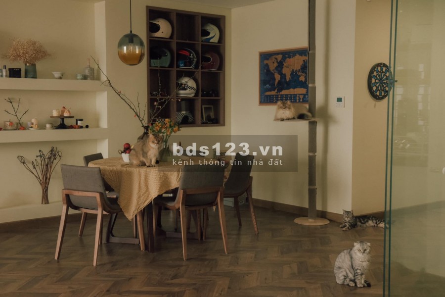 Bán nhà nguyên căn hẻm lớn 6m Lê Văn Sỹ, Quận 3, dtsd 4.2x25, 3 lầu, 7PN giá chỉ 13ty9