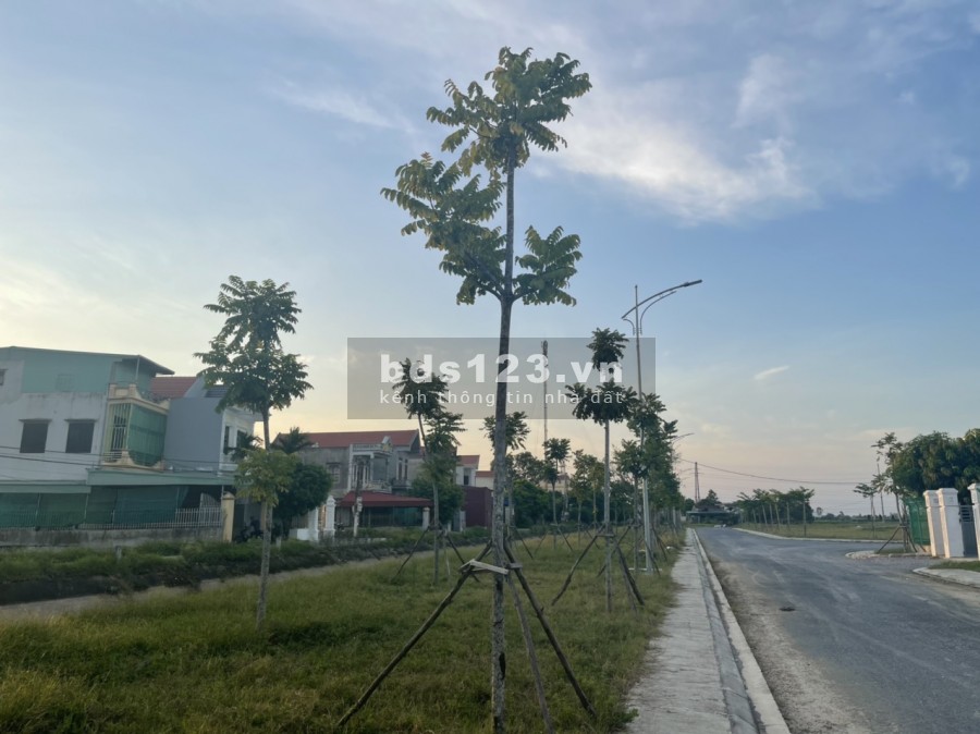 Bán gấp lô đất 7000m2, Quất Lâm Giao Thuỷ, Nam Định liên hệ chính chủ 0832526226