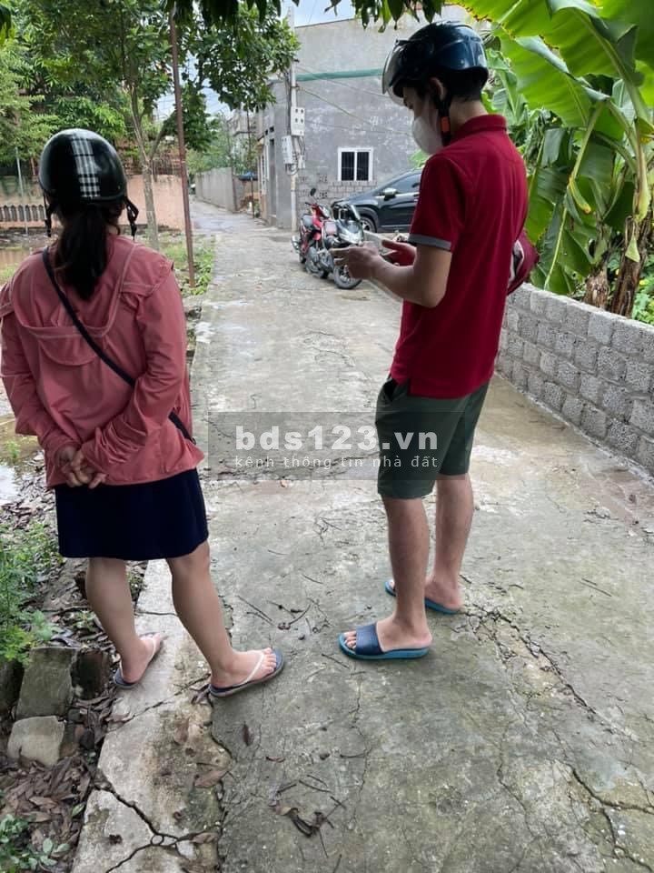 Làm ăn thu lỗ do covid bán gấp mảnh đất nhỏ xinh tại Ninh Sở Thường Tín Hà Nội giá 850 triệu