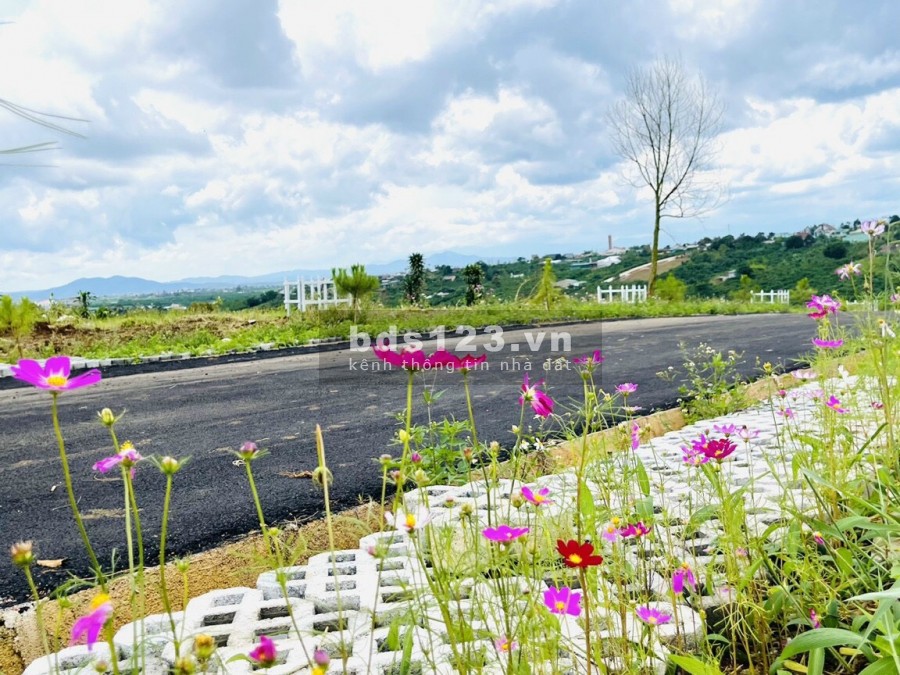 Chính chủ cần bán lô đất diện tích sử dụng 5x20 Full thổ cư cách hồ cánh bướm 1,5km
