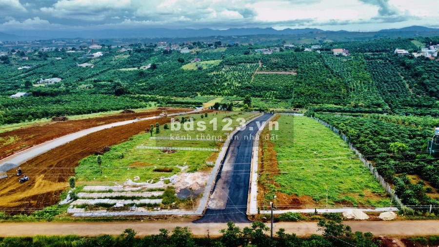 Chính chủ cần bán lô đất diện tích sử dụng 5x20 Full thổ cư cách hồ cánh bướm 1,5km