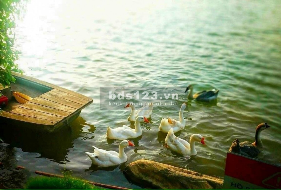 Hình Ảnh Thực Tế Dự Án Khu Đô Thị Ecogarden Huế pháp lý có sẵn, bàn giao đầy đủ giấy tờ