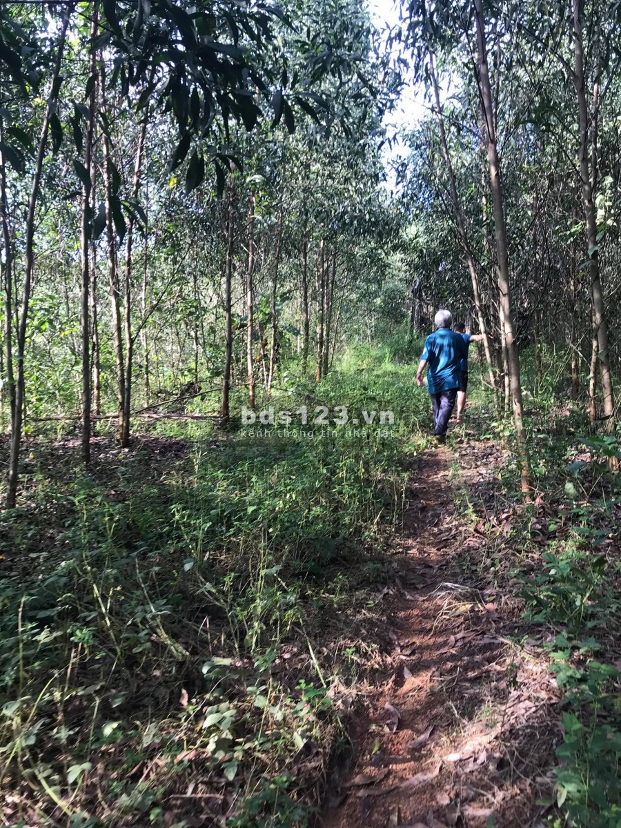 Bán đất làm trang trại xã Khánh Nam giá rẻ rộng 34.000m2 liên hệ xem đất 0788558552