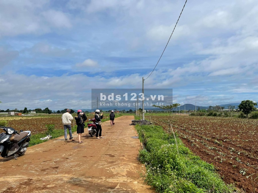 Bán nhanh lô đất diện tích 400m2, View Đồi Đẹp, Nam Ban, chỉ 480 triệu liên hệ 0935434534