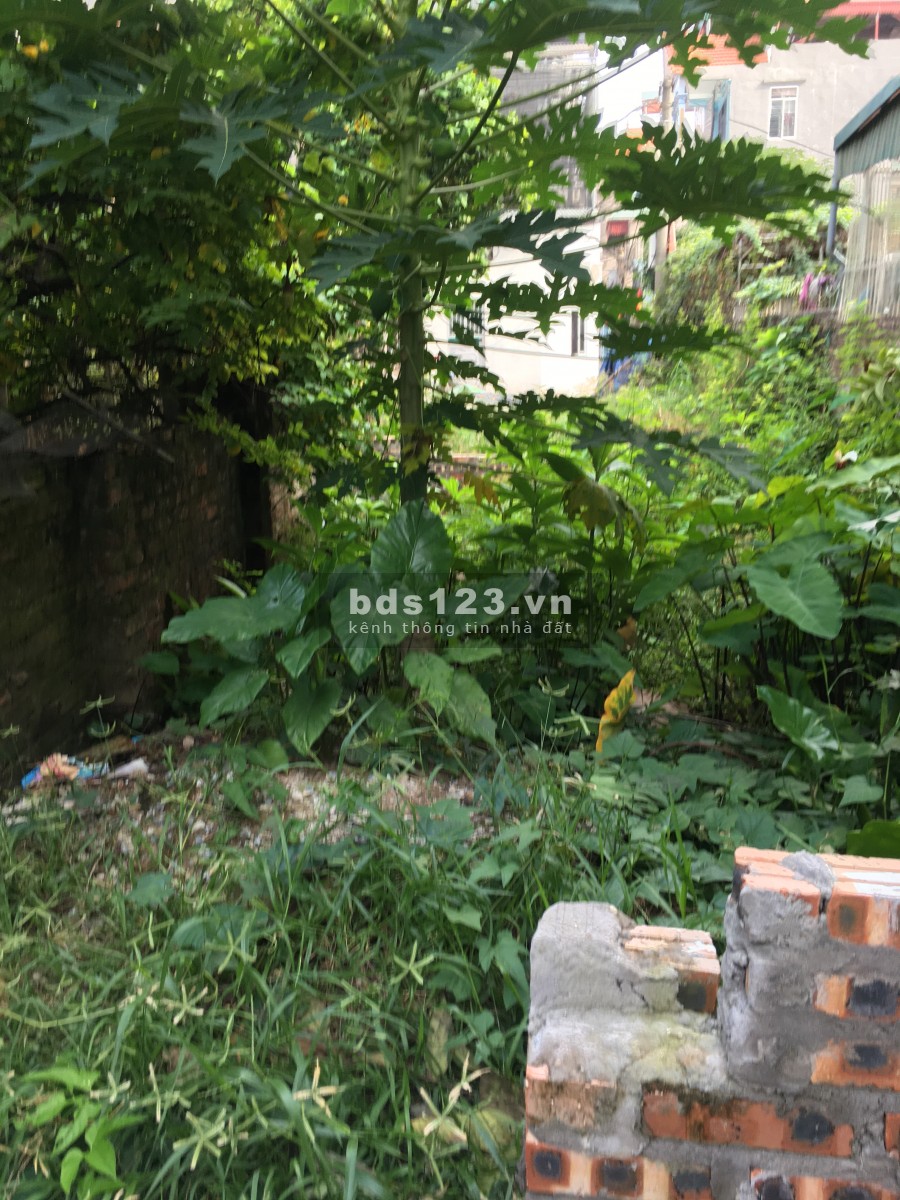 Tầm tiền hiếm Phúc Lời Long Biên dtsd 40m2 đất siêu đẹp mặt tiền 5m, 10m, ra ô tô, chỉ 1.75 tỷ