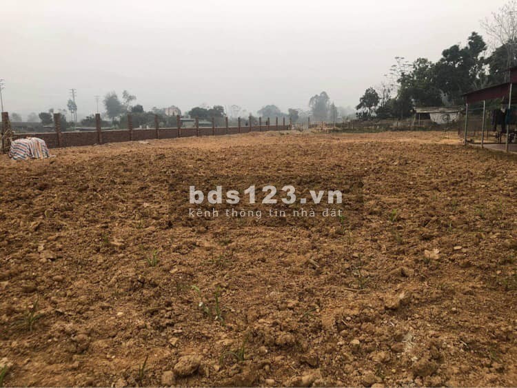 Bán đất đường đôi thị trấn Thanh Sơn Phú Thọ liên hệ xem đất 0395663883 pháp lý đủ